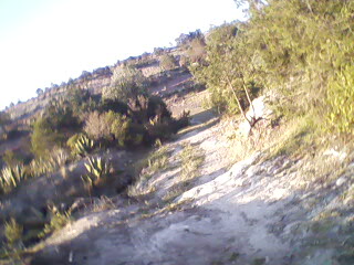 FOTOS